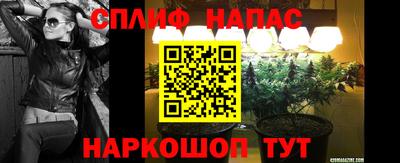 гашик Абакан