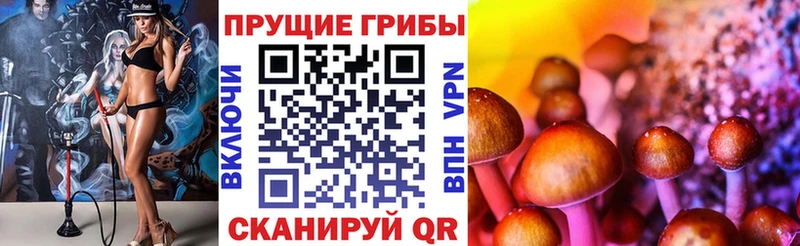 Псилоцибиновые грибы GOLDEN TEACHER  купить   Шахты 