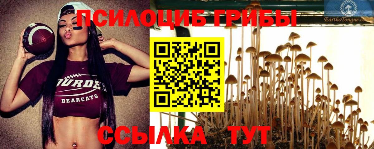 Шахты  Галлюциногенные грибы GOLDEN TEACHER  Вход с VPN 
